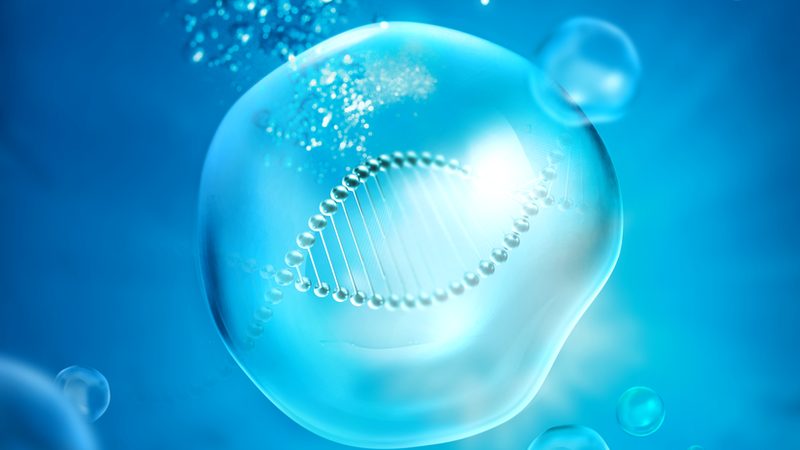 生物医药外包项目文档管理：合规与效率的双重保障**
