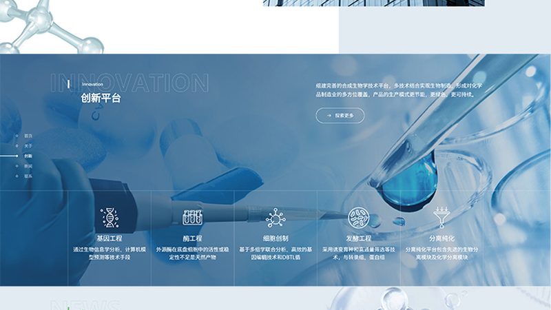 酶：材质选择背后的科学考量**