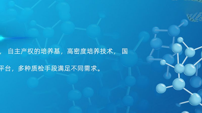 CHO细胞培养基：揭秘其关键特性与应用**