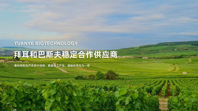 基因检测：了解自身遗传信息