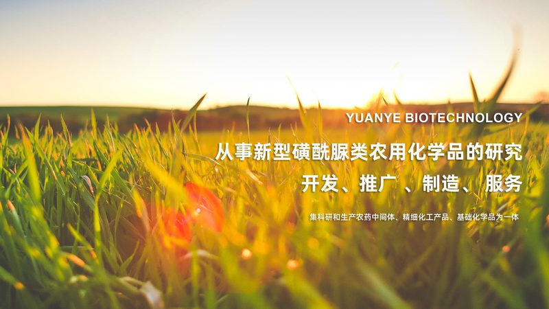 果汁加工酶制剂：标准使用指南，提升果汁品质的关键**