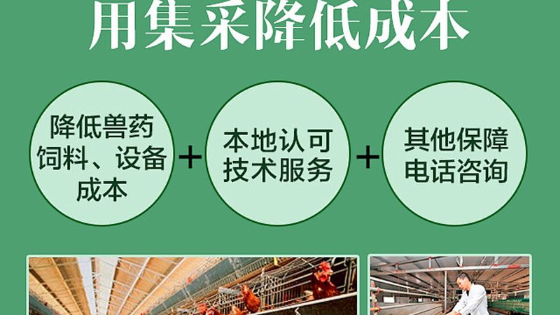 酶分类及用途全解析：探索生物催化奥秘