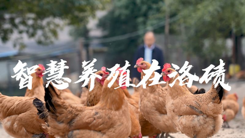引物合成：如何选择可靠的合作伙伴**