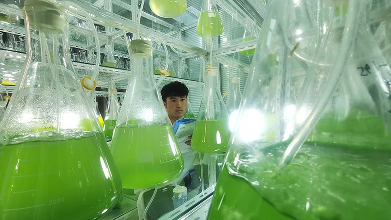 PCR检测试剂盒与胶体金试剂盒：两种检测方法的奥秘解析